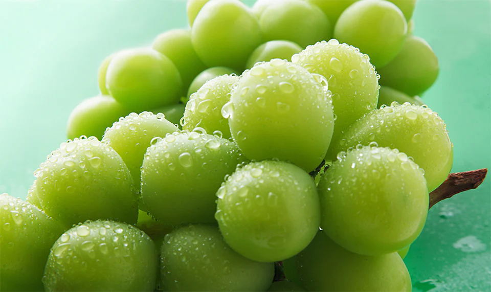 Relx Creator 悅刻積木 麝香葡萄